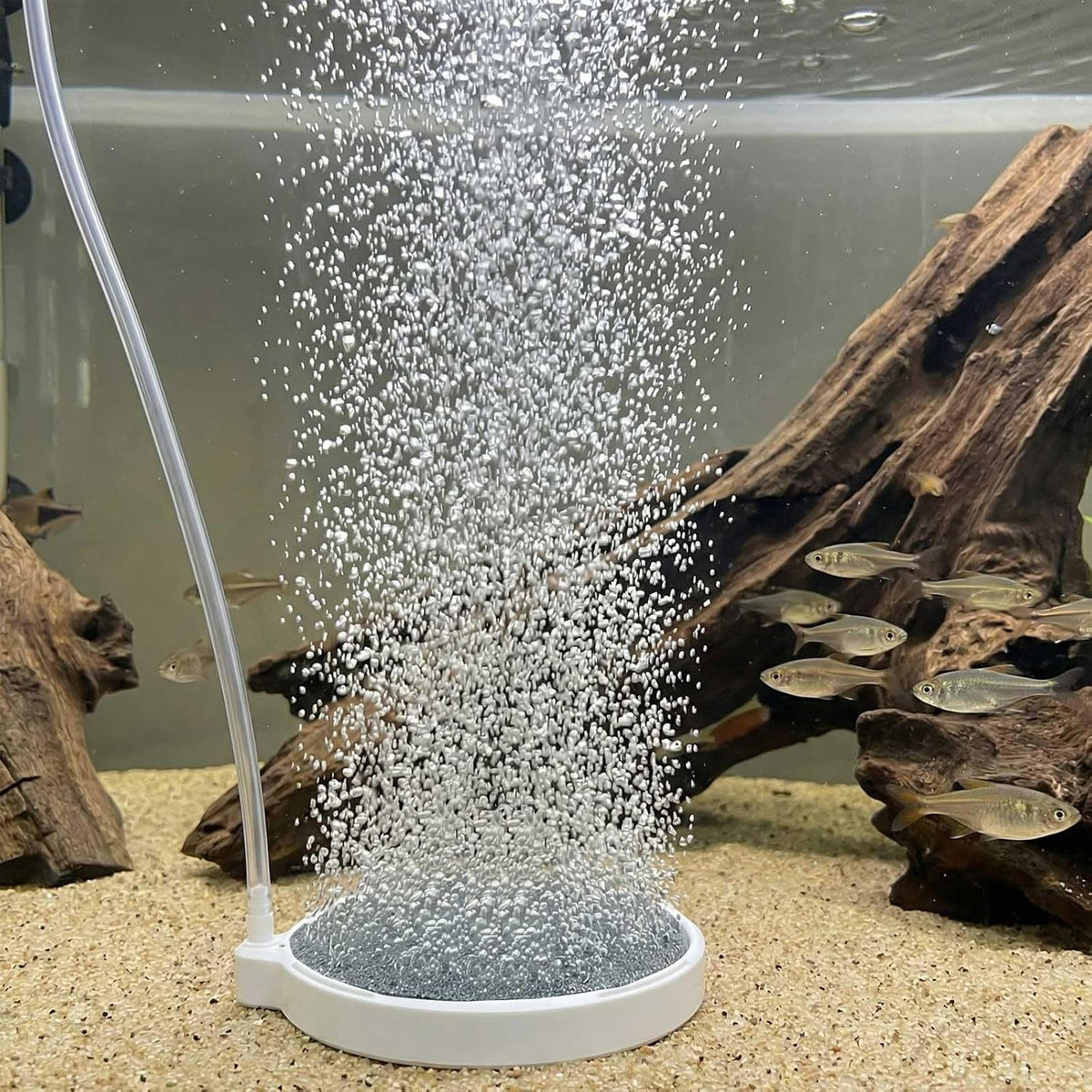 Fish Tank Bubbler, 3.2 Inch Aquarium Air Stone Kit, Nano Quiet Oxygen Diffuser for 20-70 Gallon Tanks, High Dissolved