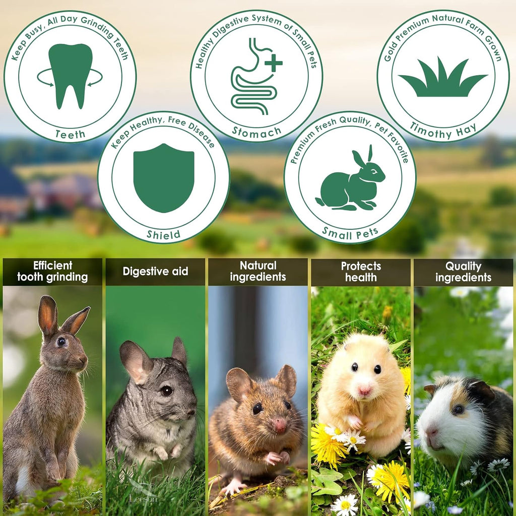100% Edible Premium Timothy Hay Chew A Bowl for Rabbits, Chinchilla Treats, Chew Toys for Teeth Guinea Pigs and Mice