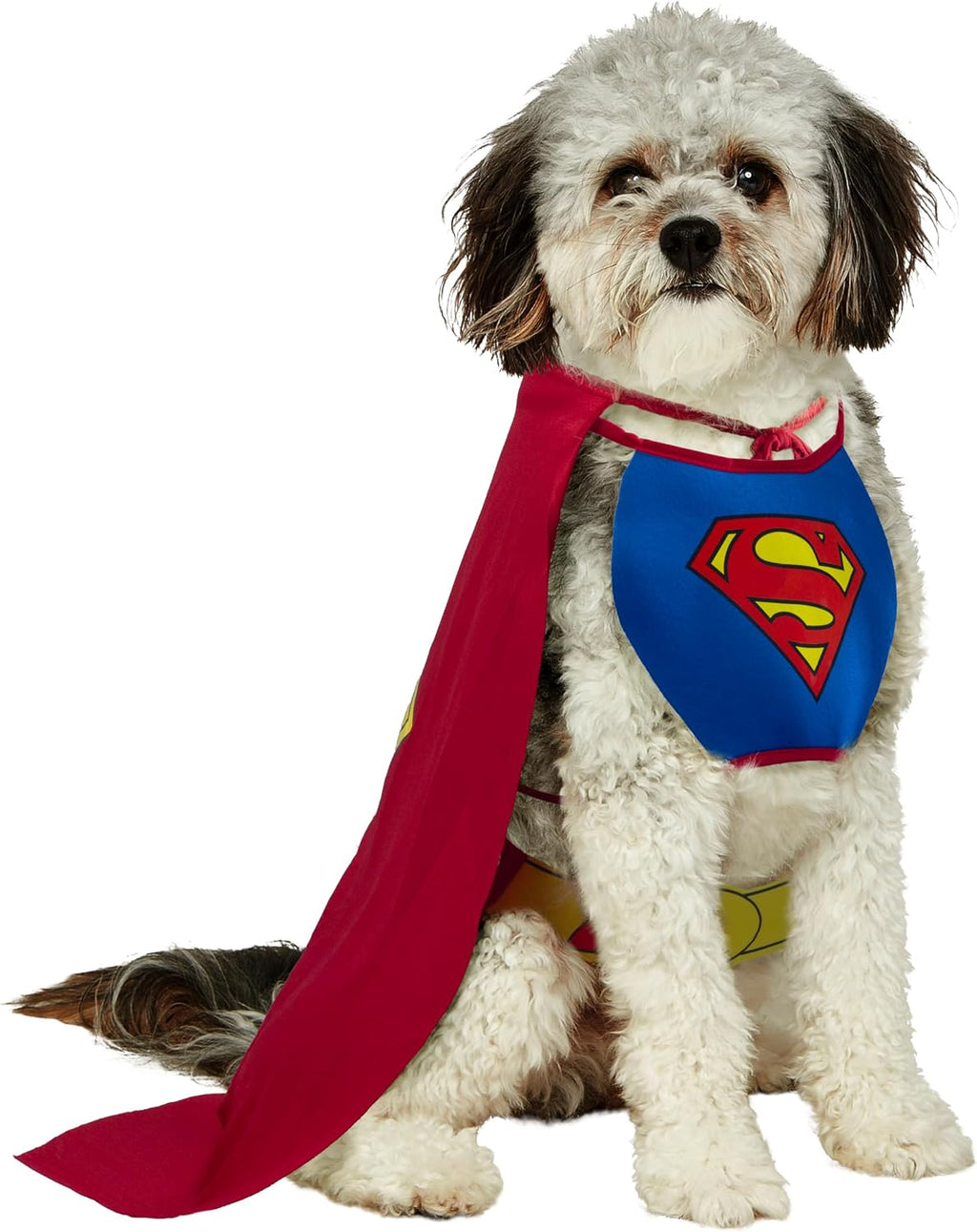 DC Comics Superheroes: Superman Pet Costume for For Dogs or Cats by Rubies, XL