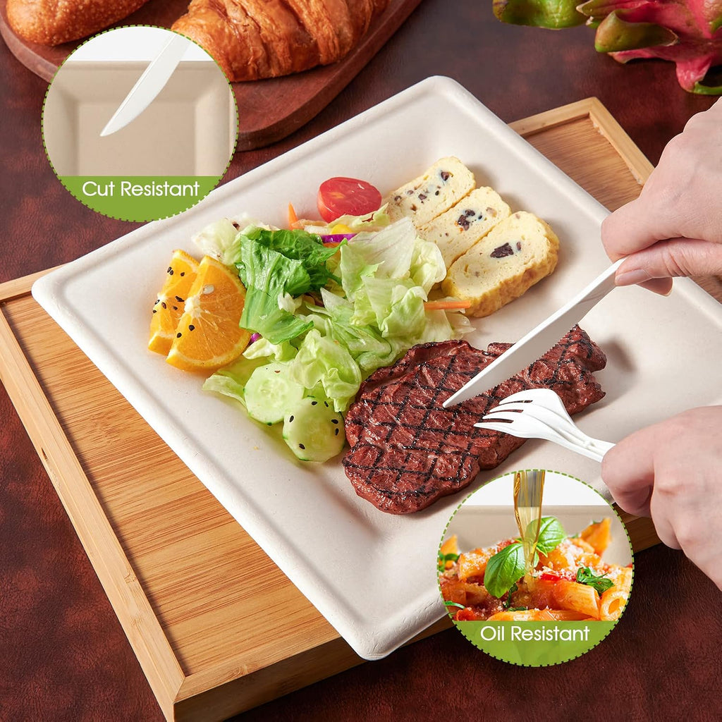 125 Piecs Compostable Square Paper Plates, 6 inch, Nature