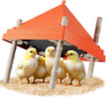 Large Chick Brooder Heating Plate 12" x 12" with Anti-Roosting Cone, Stepless Adjustable Height for Up to 25 Chicks