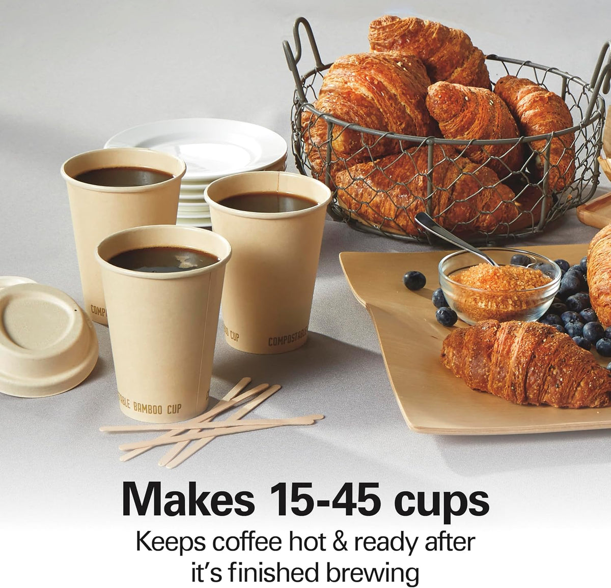 45 Cup Fast Brew Coffee Urn and Hot Beverage Dispenser