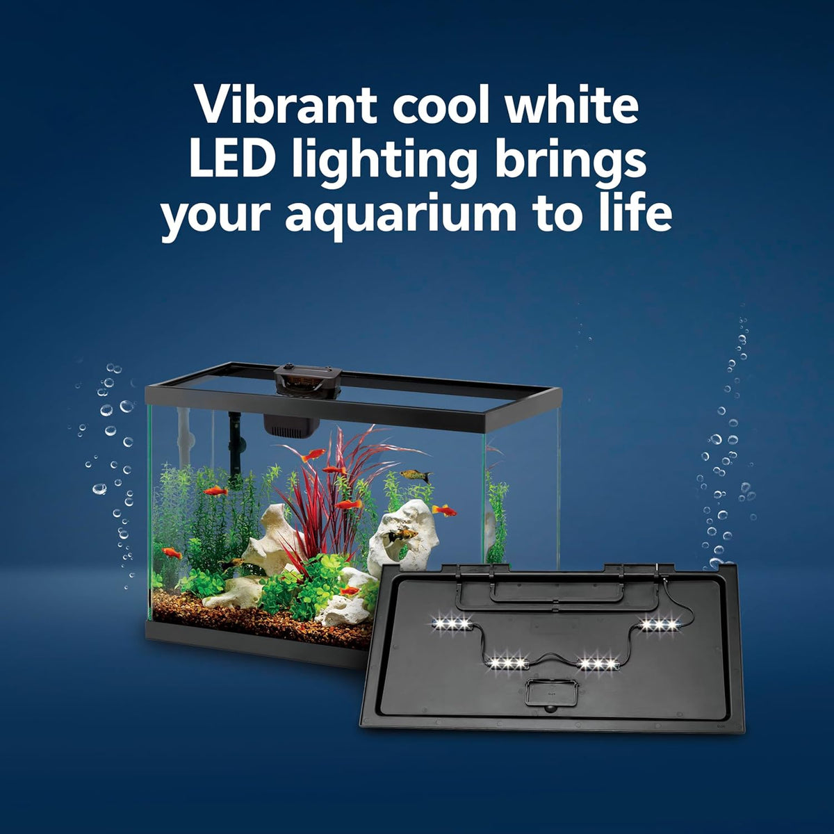 Aquarium Starter Kit with Smart Clean Filtration and LED Lighting, Freshwater and Saltwater Fish, 20-Gallon
