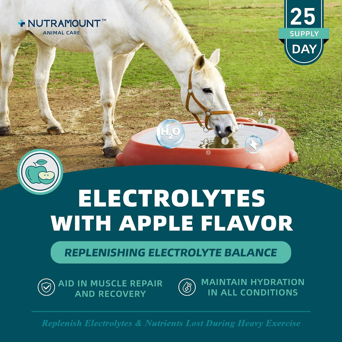 Equine Electrolytes Supplement with Apple Flavor, Replenish Lost Minerals & Support Hydration for Horses During