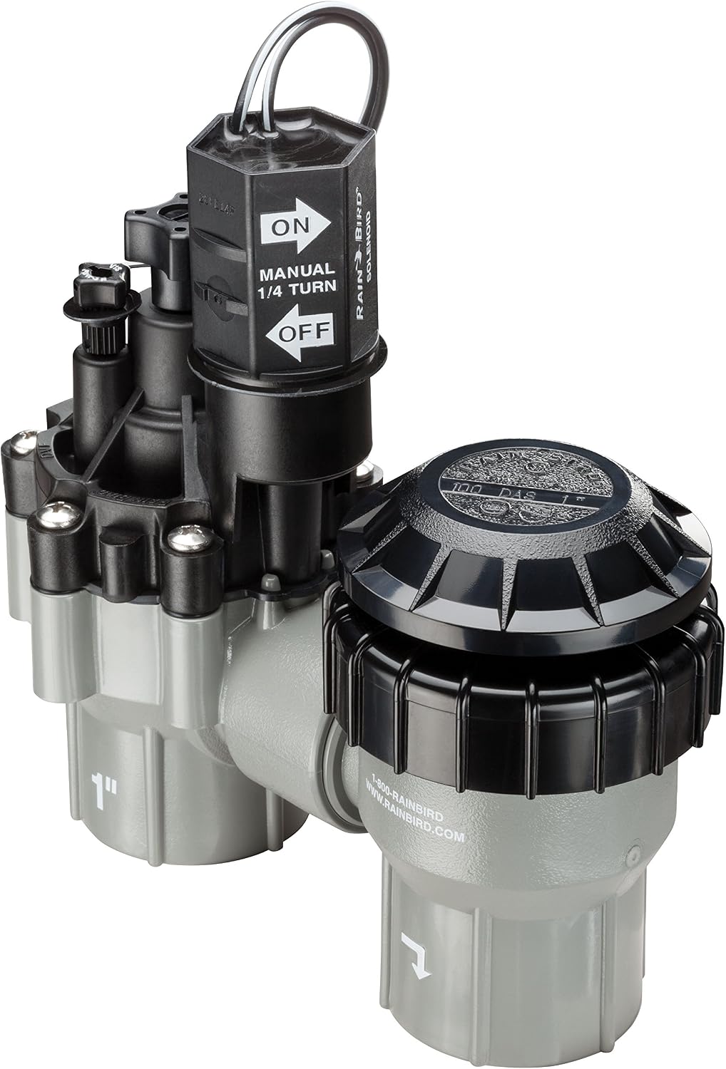 Rain Bird DASASVF100 Professional Anti-Siphon Valve, 1"