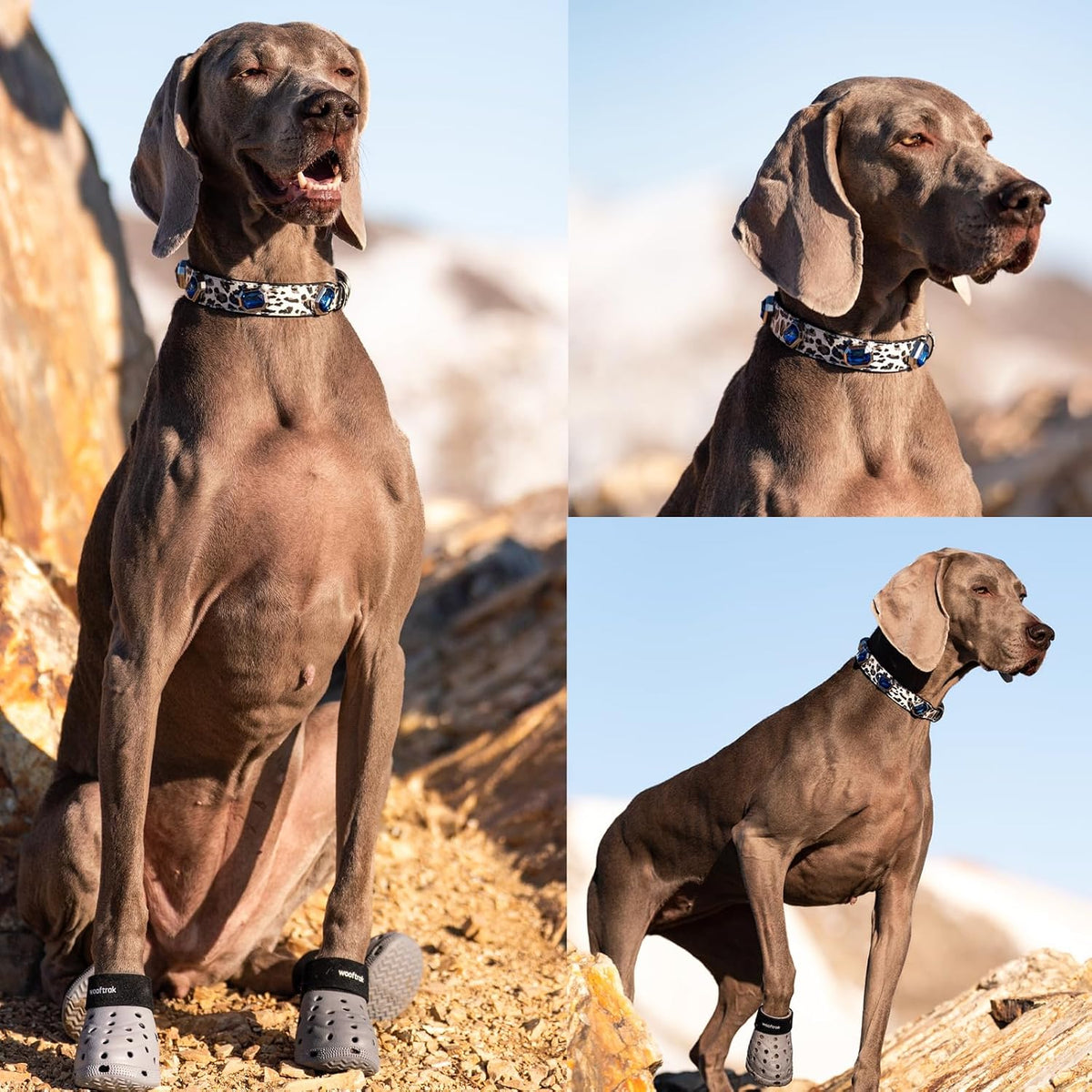 Luxury Dog Collar&Necklace, Bling Rhinestone Leather Collar