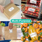 2"x4" Bulk Printable White Label Stickers 5000 Labels 500 Sheets