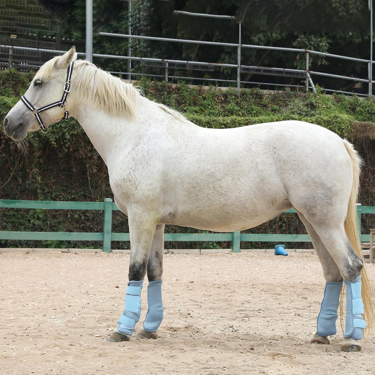 Horse Fly Boots, Mesh Fly Boots for Horse Set of 4, Equine Leg Protection