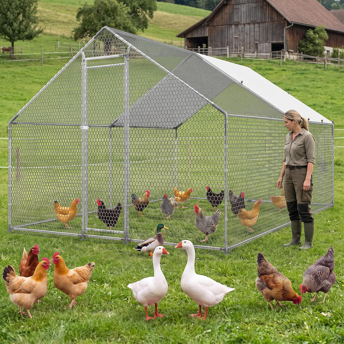 Metal Chicken Coop, Large Walk-in Run 13x10 FT for Yard