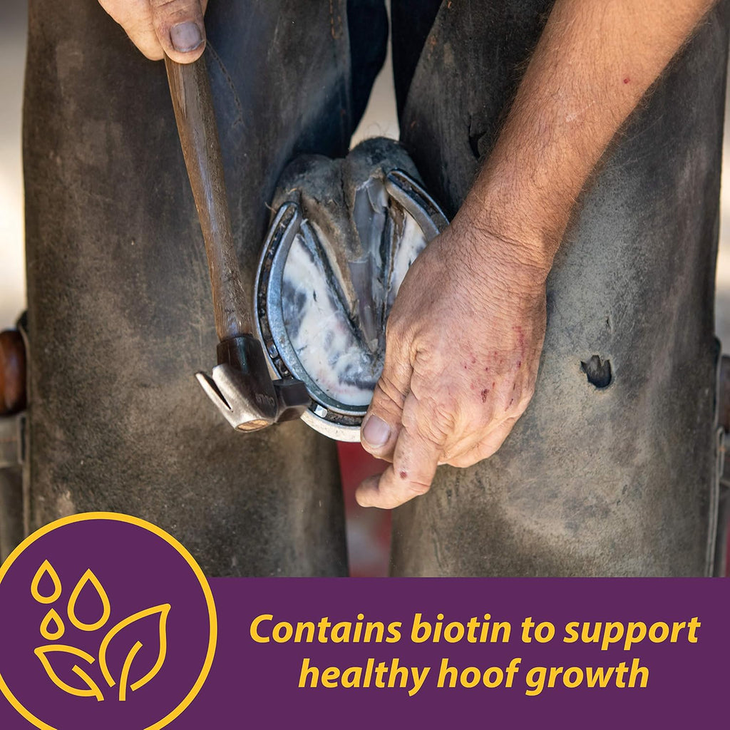 Vita Biotin Crumbles Horse Hoof Supplement, 3 lbs
