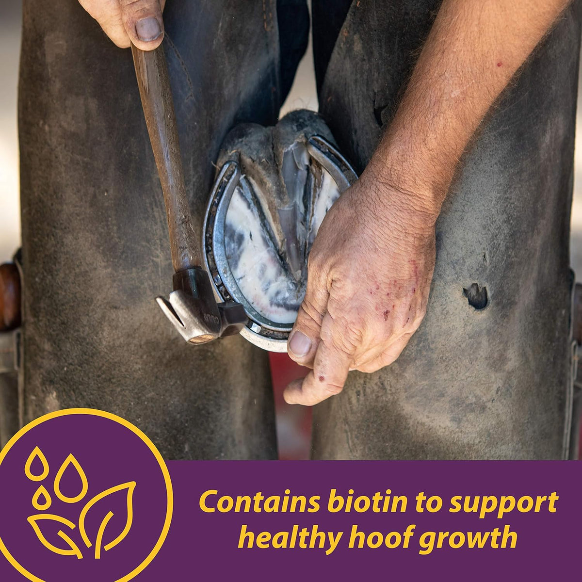 Vita Biotin Crumbles Horse Hoof Supplement, 3 lbs