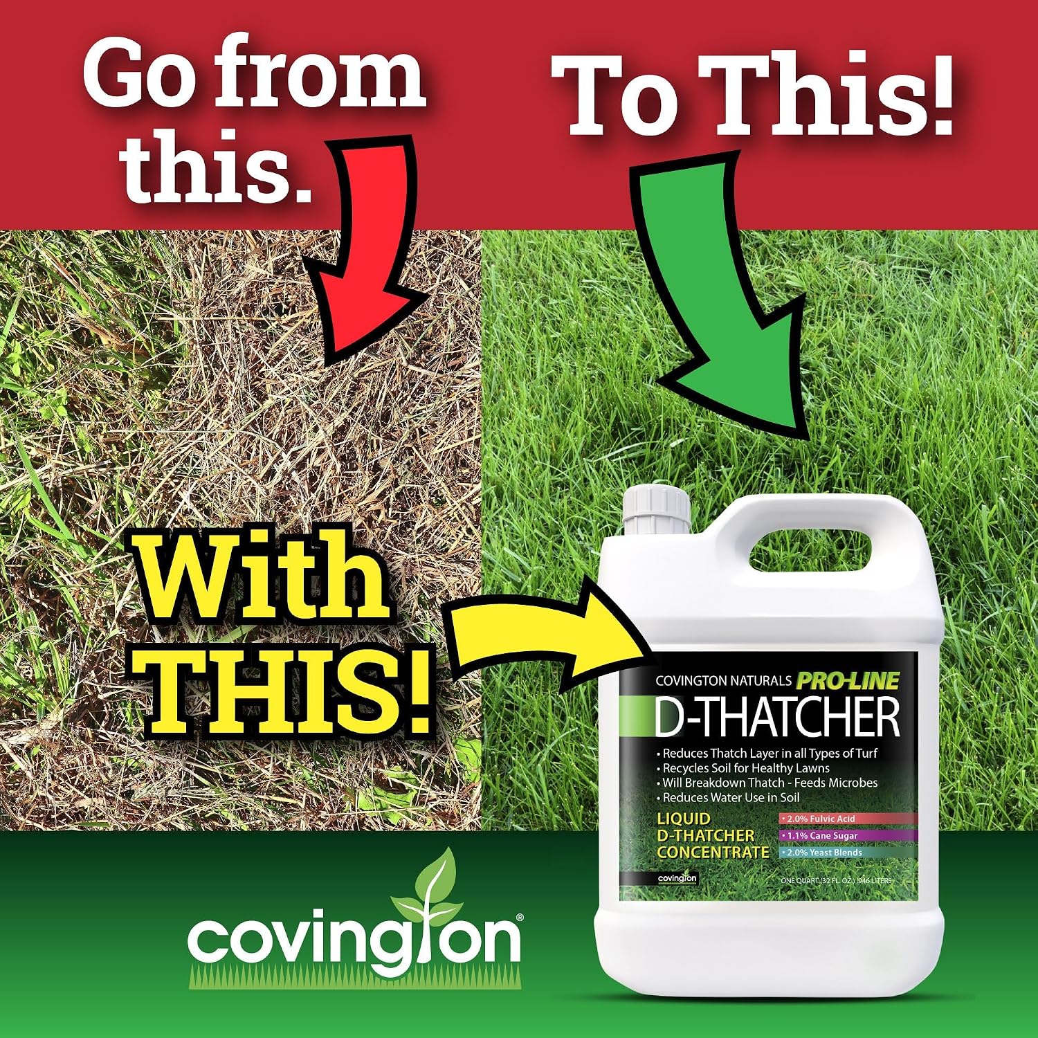 Covington PRO-LINE D-THATCHER Liquid Dethatcher (32oz) – Lawn Thatch Remover & Soil Softener, Grass Clipping