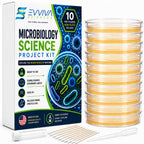 Evviva Sciences Microbiology Science Project Kit, Pre-Poured Agar Plates for Students, Agar Petri Dishes to Learn