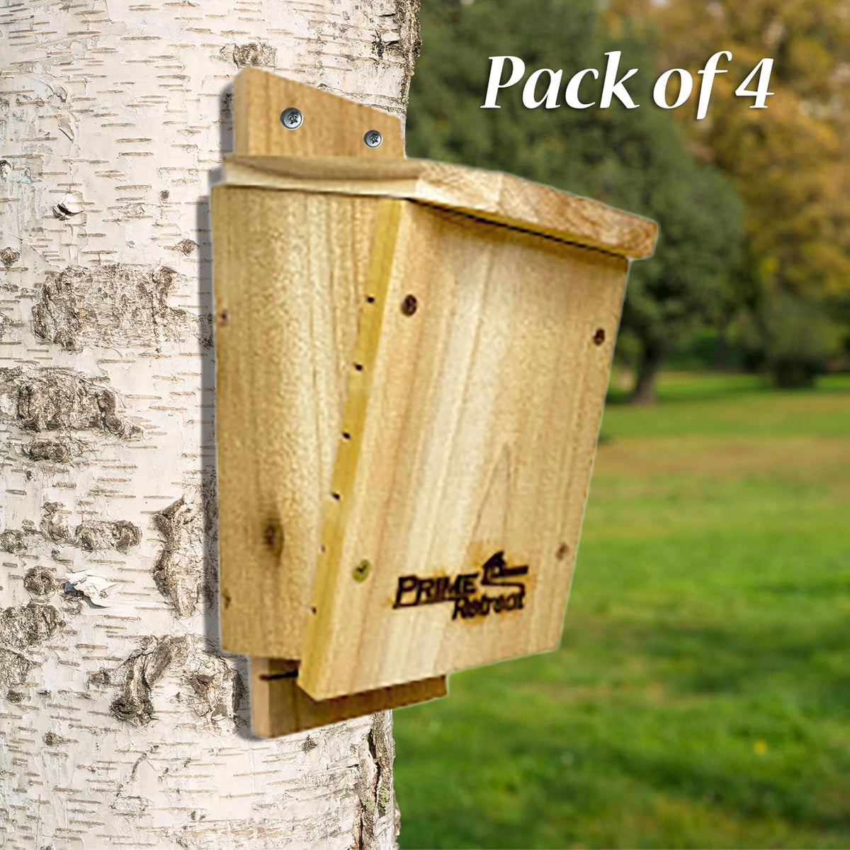 DIY Cedar Bat Houses by Prime Retreat, Club Pack of 4