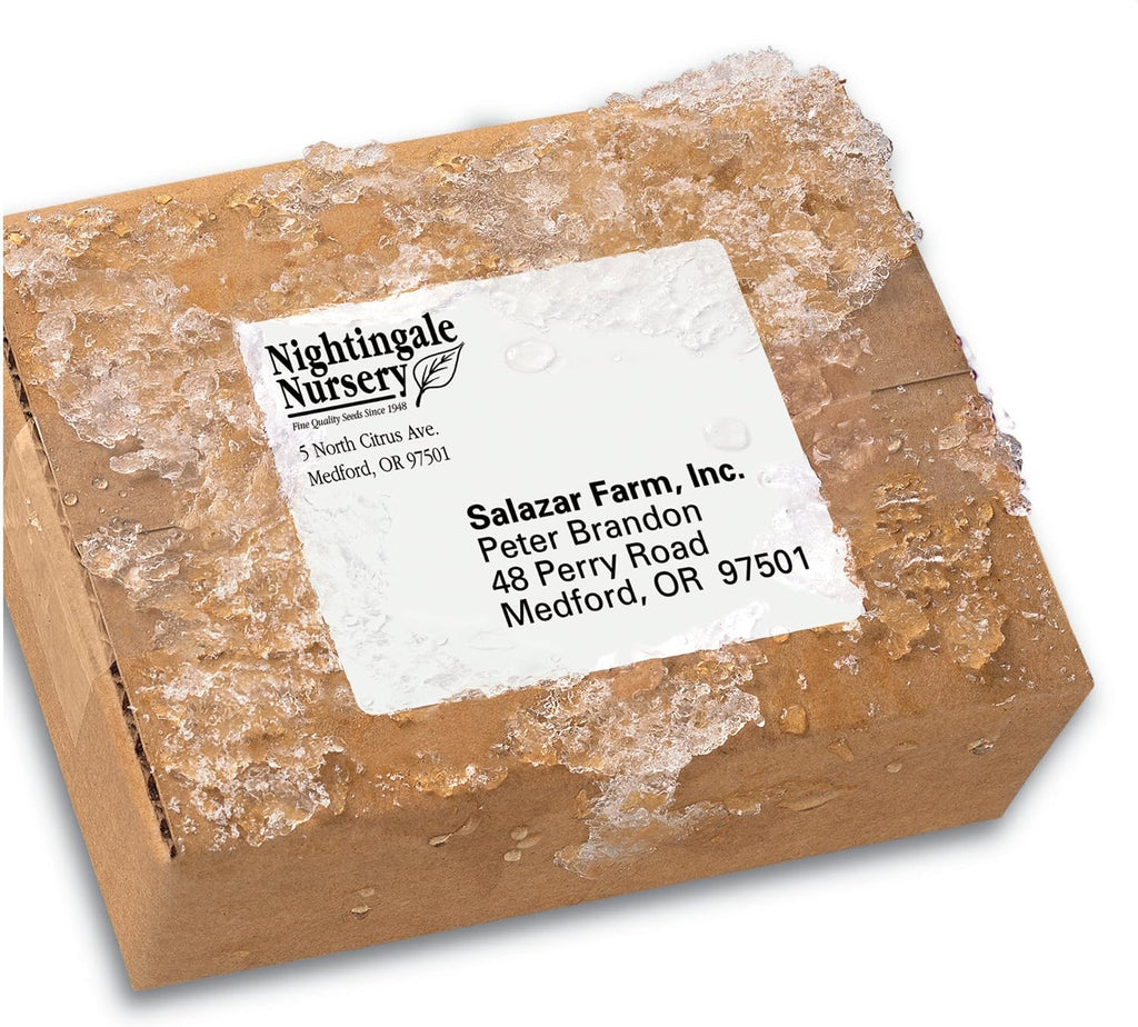 Durable Waterproof Shipping Labels with Sure Feed Technology, 3-1/3" x 4", White, Laser Compatible, 300 Blank Labels