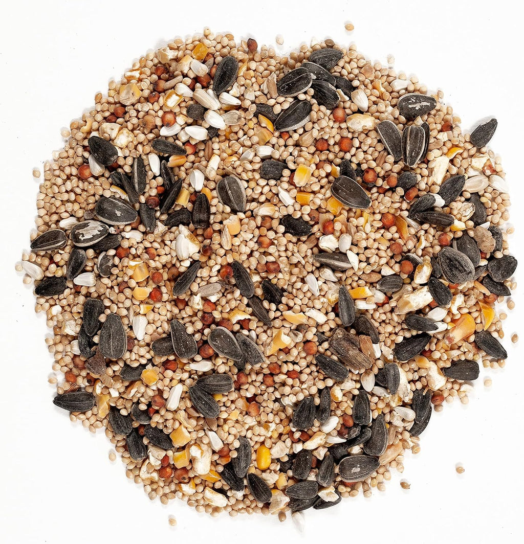 62004 Eastern Regional Wild Bird Food, 20-Pound Bag