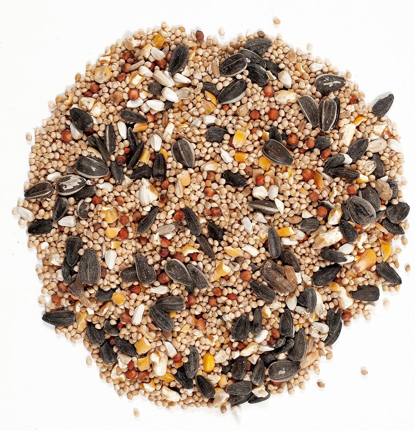 62004 Eastern Regional Wild Bird Food, 20-Pound Bag