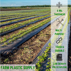 Black Plastic Sheeting 6 mil - Polyethylene Vapor Barrier Plastic Sheeting, Black Painters Tarp, Roll of Heavy Duty