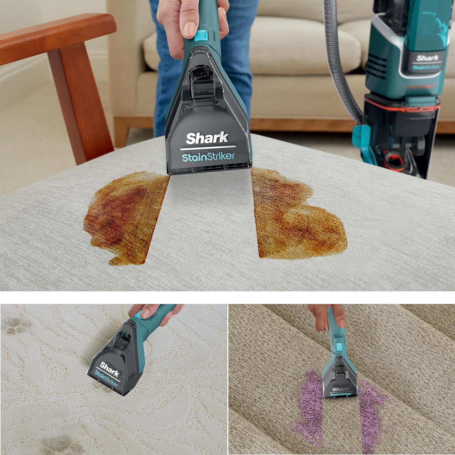 R-EX205 CarpetXpert with Stainstriker Deep Carpet Cleaner, Teal - Certified Refurbished