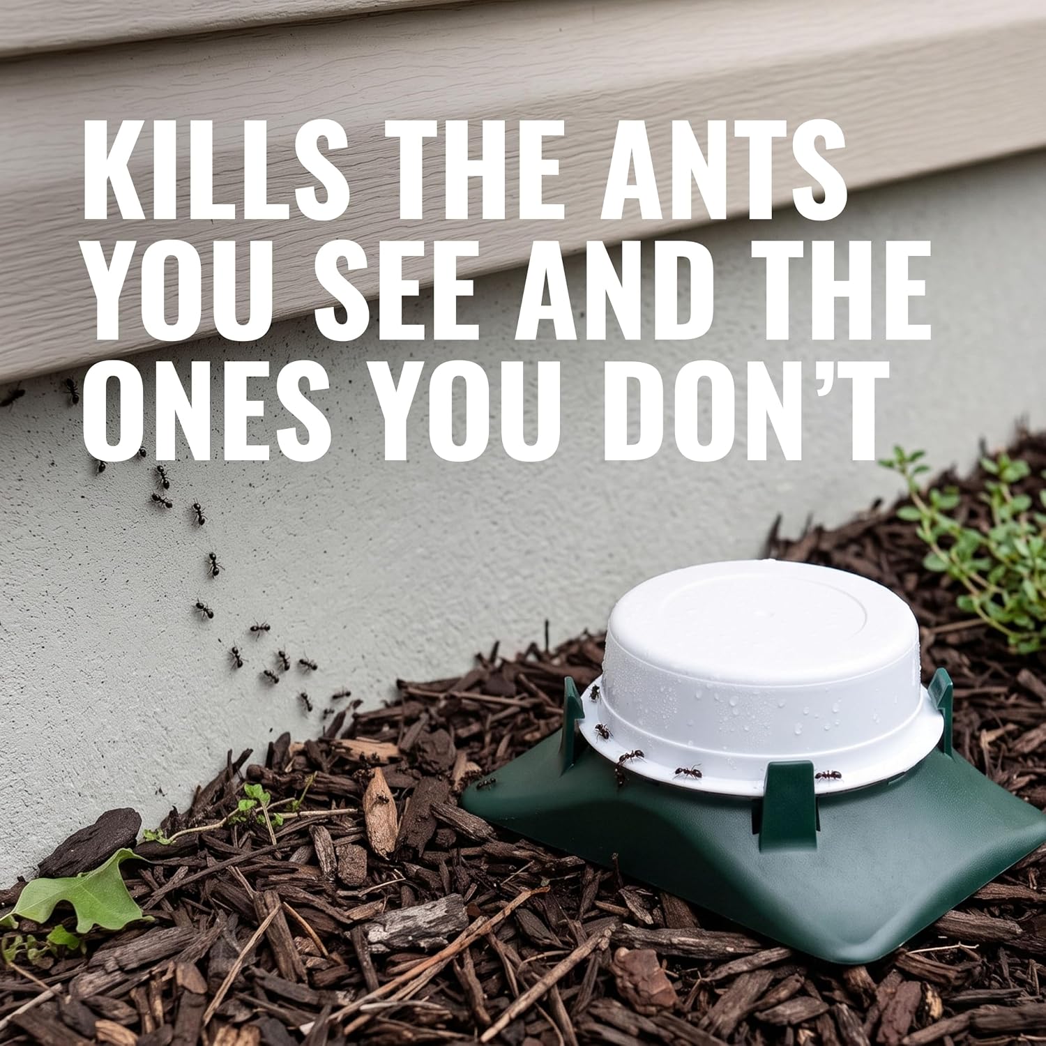 T1804-6 Outdoor Ready-to-Use Liquid Ant Bait Killer and Trap - Kills Common Household Ants - 4 Bait Stations |