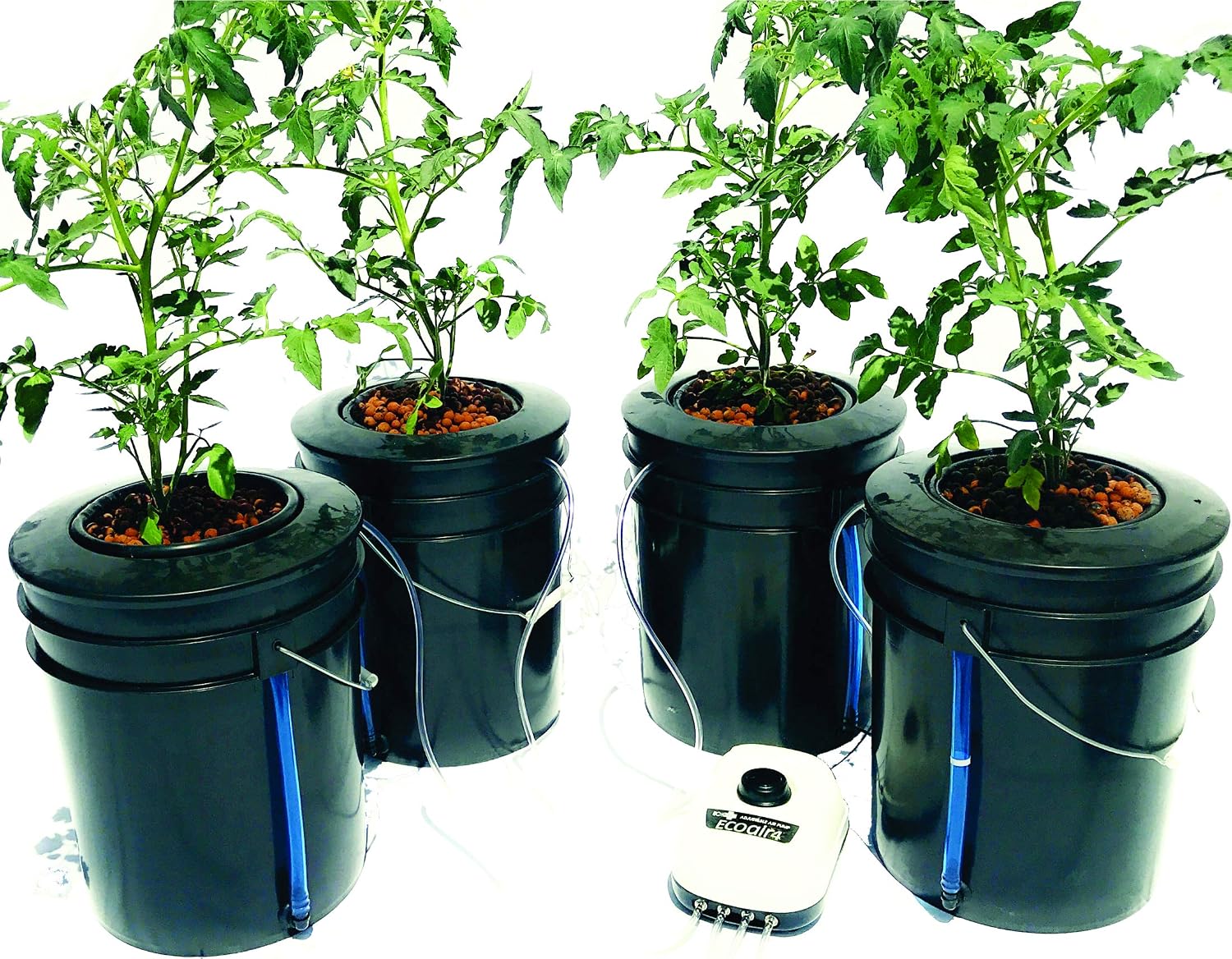 The Atwater HydroPod - Dual DWC Deep Water Culture/Recirculating Drip Hydroponic Garden System - Bubble Bucket