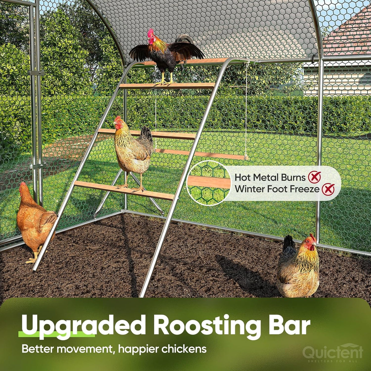 Essential Series 18x9ft Metal Chicken Coop Run w/Climbing Ladder