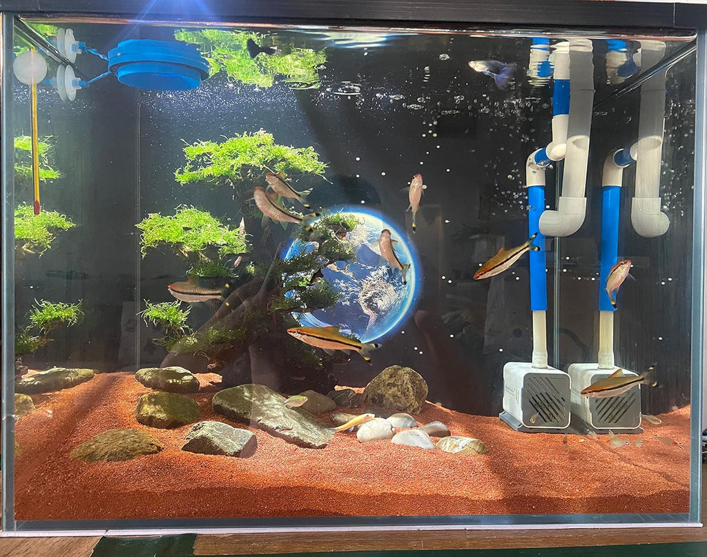 11lb Natural South American Rainforest Sand, Aquarium red Sand, Lava Rock Soil, Red Lava Rock Sand, Succulent Sand