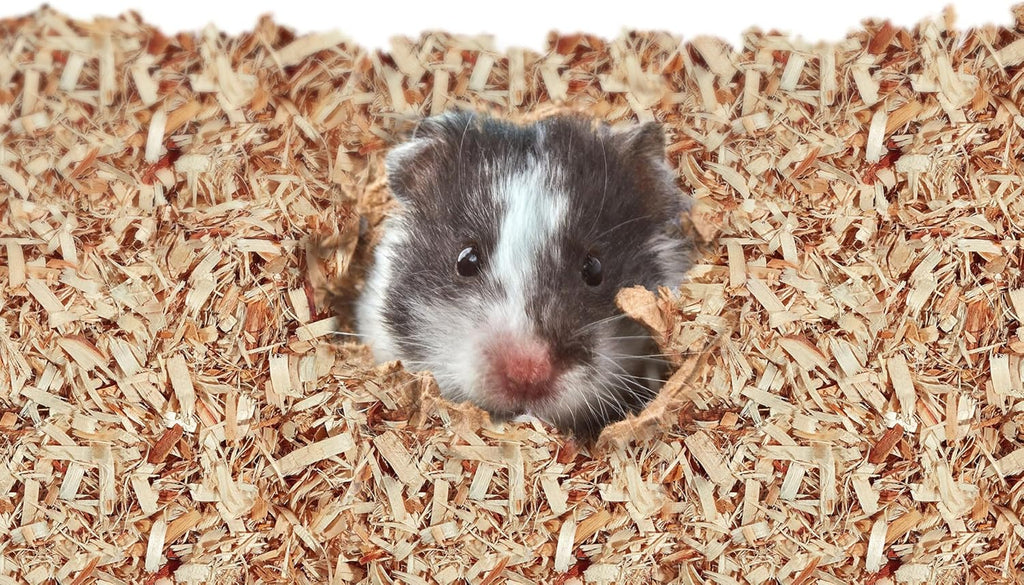 Aspen Bedding for Small Animals, 52.4 Liter | Less mess. Aspen hamster bedding. 99.9% dust-free wood shavings, guinea