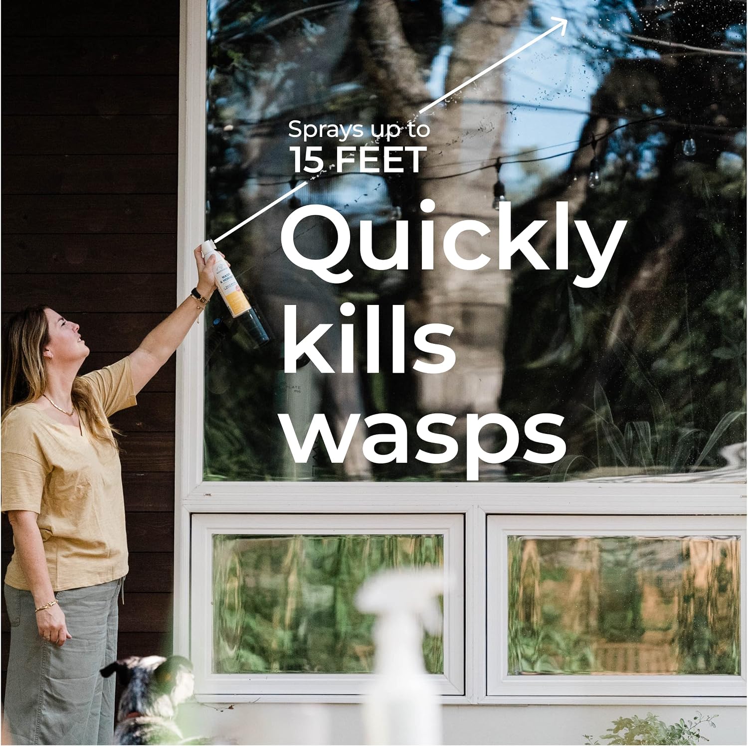 Wasp and Hornet Killer Aerosol Spray - 10 oz - 2 Pack | Kills Wasps, Hornets & Yellow Jackets - With Natural