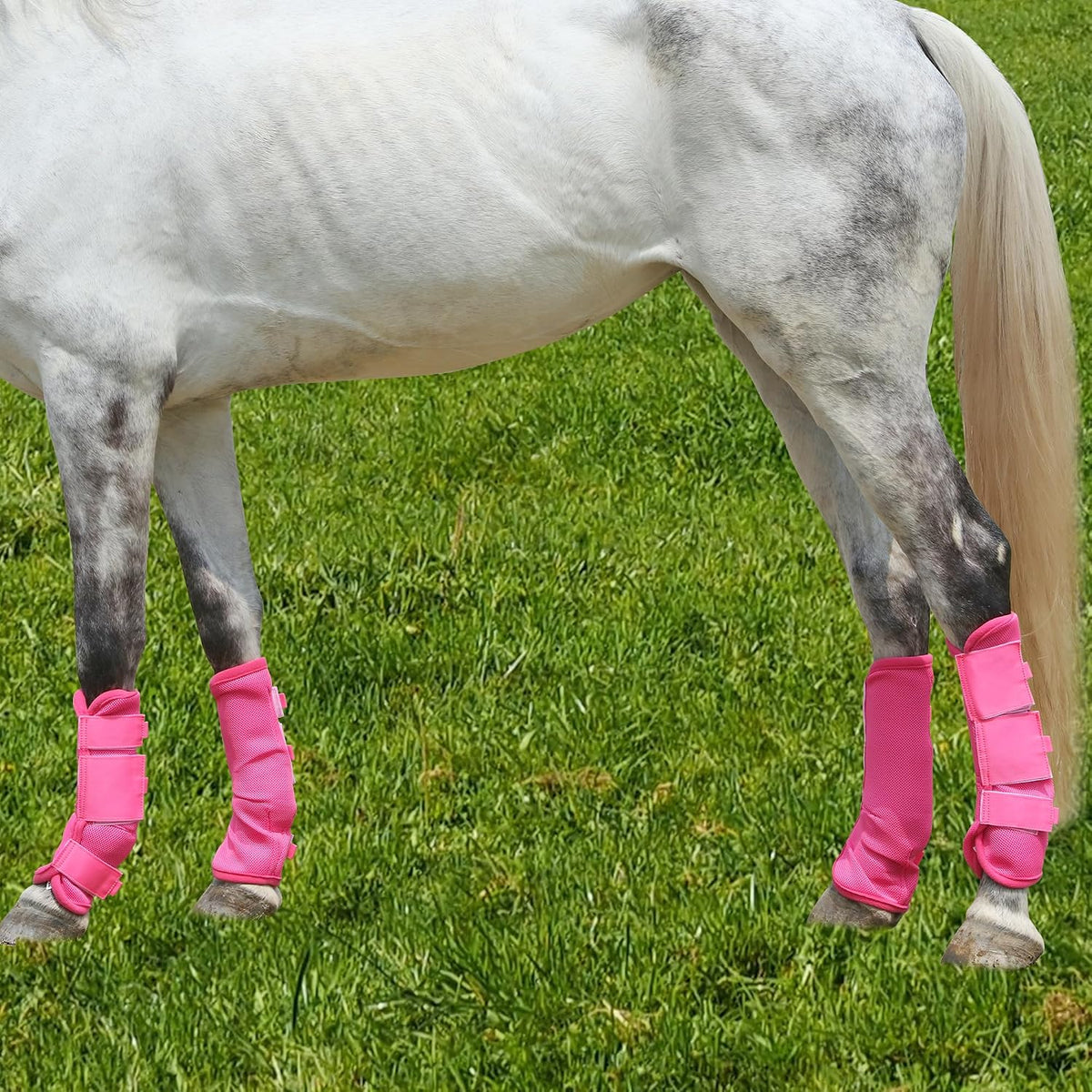 Horse Fly Boots, Mesh Fly Boots for Horse Set of 4, Equine Leg Protection
