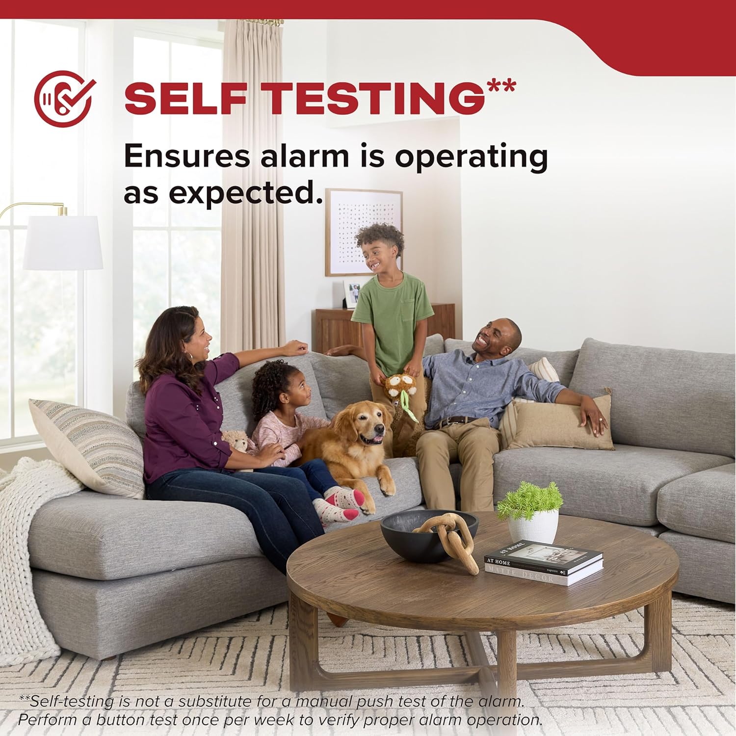 Smoke Detector, Hardwired with 10-Year Battery Backup, Interconnectable, LED Status Lights, 85 dB Alarm, 5-inches