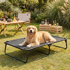 Foldable Outdoor Elevated Dog Cot Bed with Handle