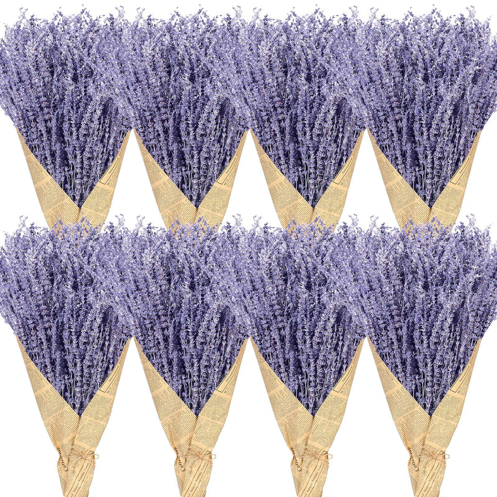 8 Bundles Dried Lavender 16 Inches for Home Wedding Party Decor