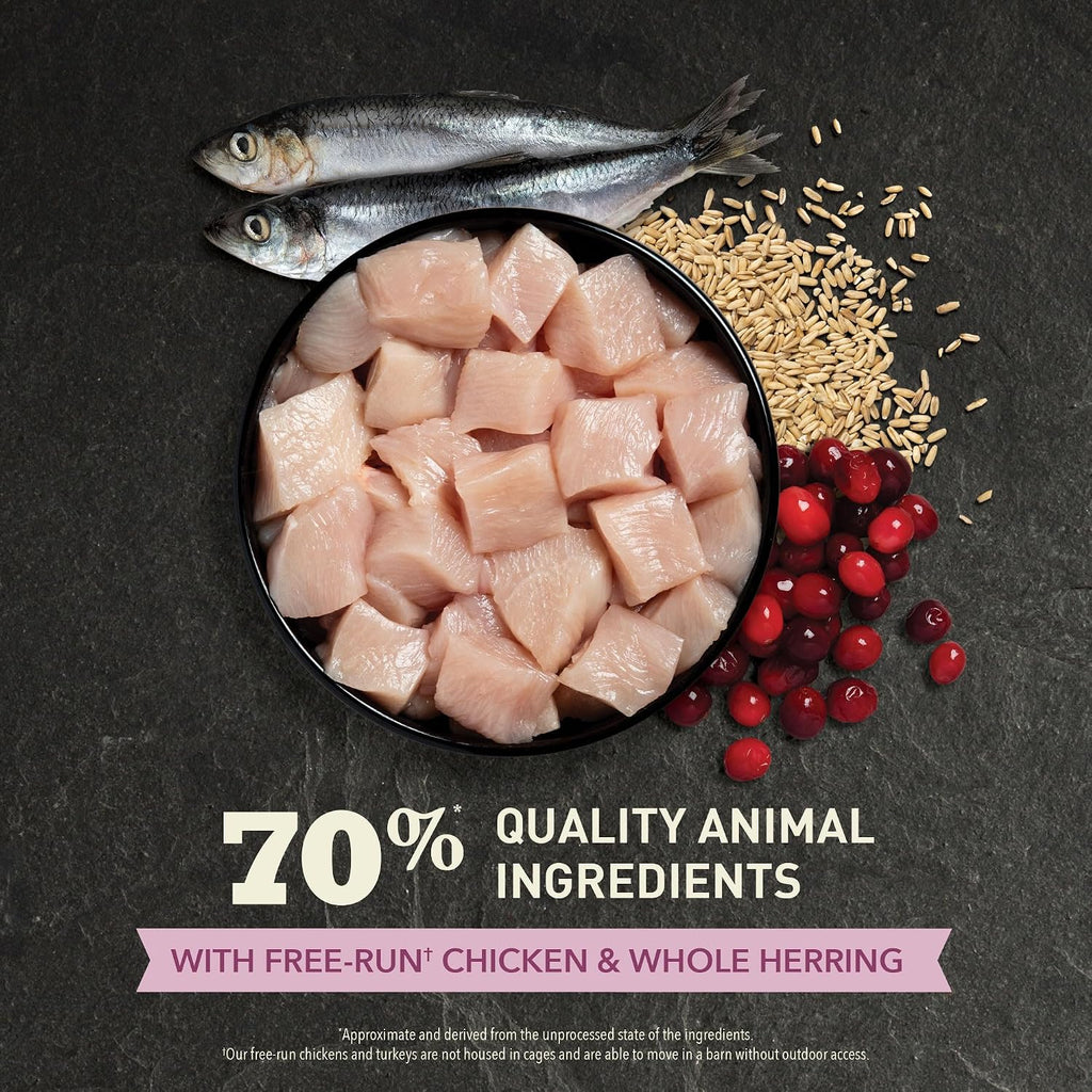 Dry Cat Food for Kittens First Feast Chicken and Fish 7lb Bag