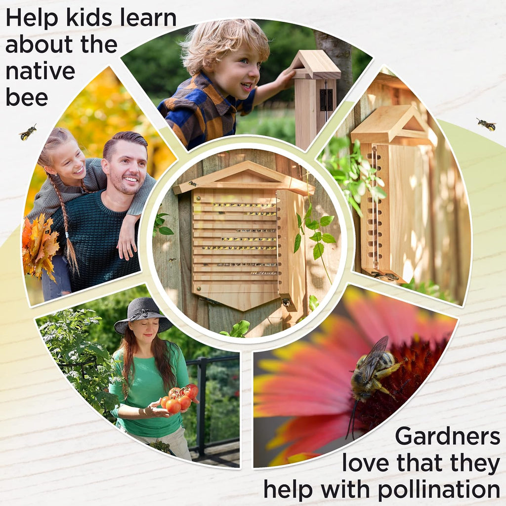 Native Bee Observatory | Mason Bee Houses for Pollinating Bees | Pollinator Bee Houses for the Garden Lover | Leaf