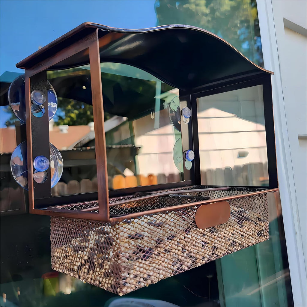 Window Bird Feeder with Strong Suction Cups