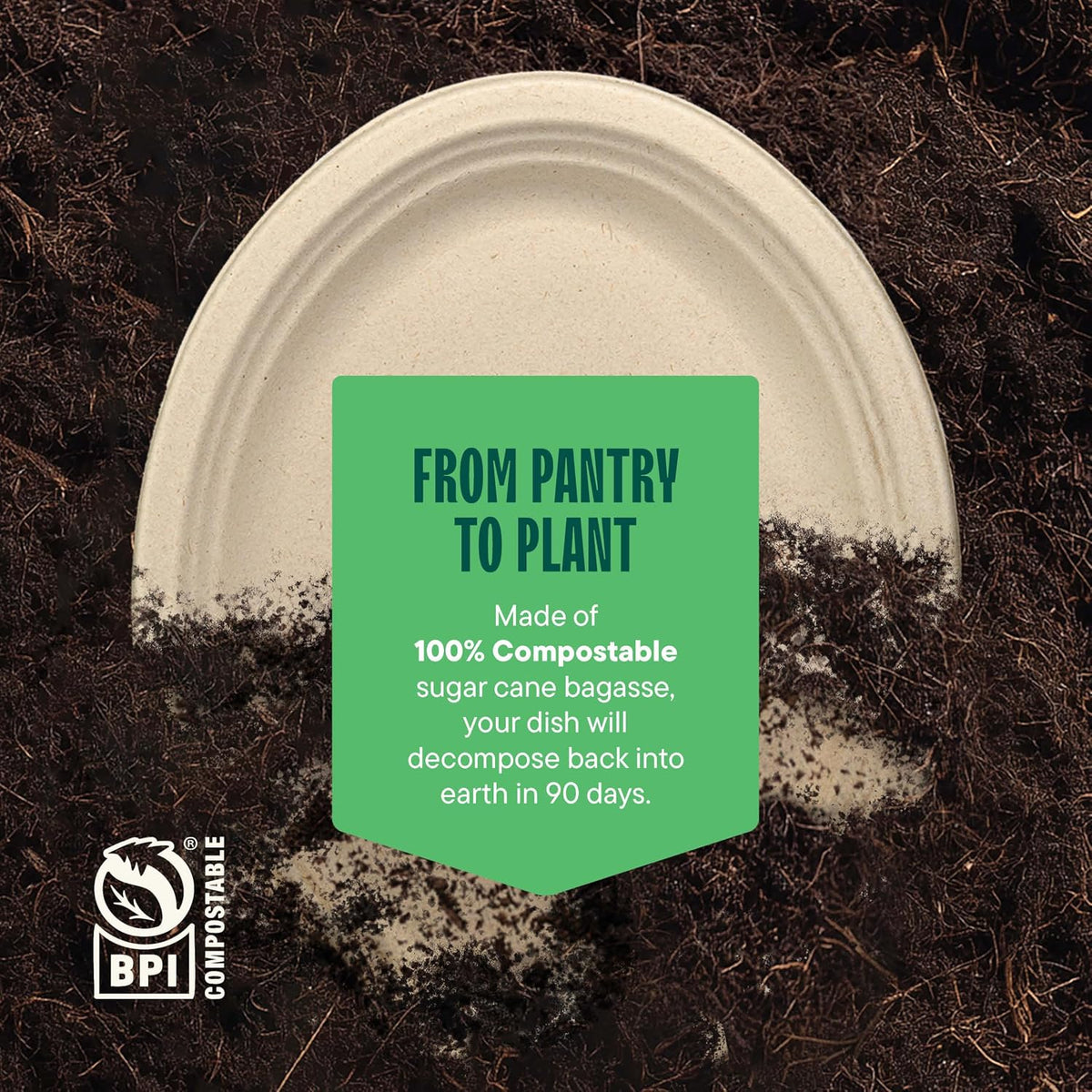 100% Compostable Oval Paper Plates [12.5 inch - 50-Pack] Elegant Disposable Dinner Platter Heavy-Duty Quality