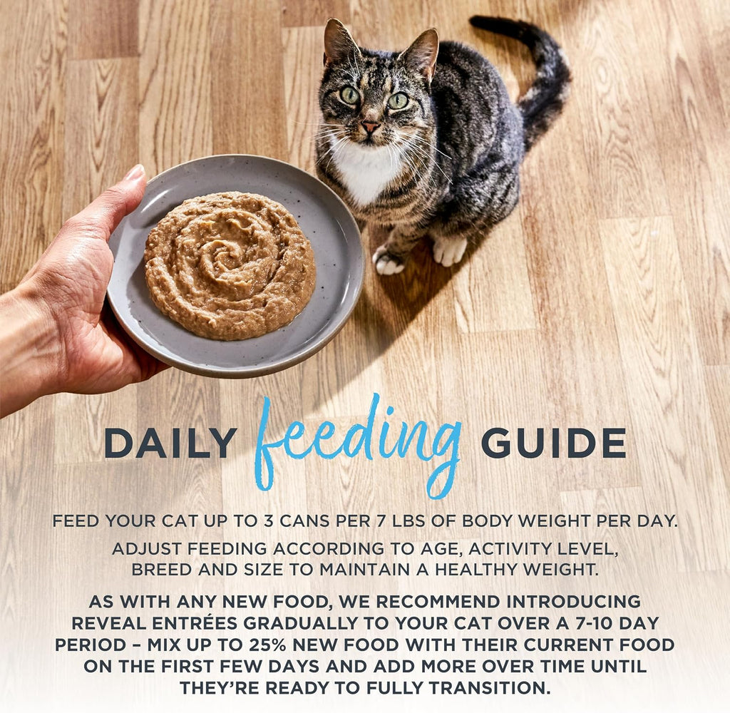 Entrées Fish Variety Paté Wet Cat Food 12-Pack 2.47 oz Cans