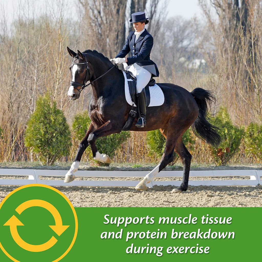 Vita Plus Balanced Multi-Vitamin & Mineral Horse Supplement, Vitamin Supplements, Provides Balanced Nutrition to