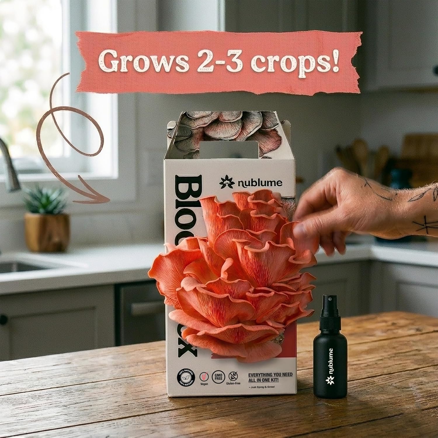 BloomBox Pink Oyster Mushroom Grow Kit – Spray & Grow – Pre-Inoculated Indoor Mushroom Farm – Beginner Friendly –