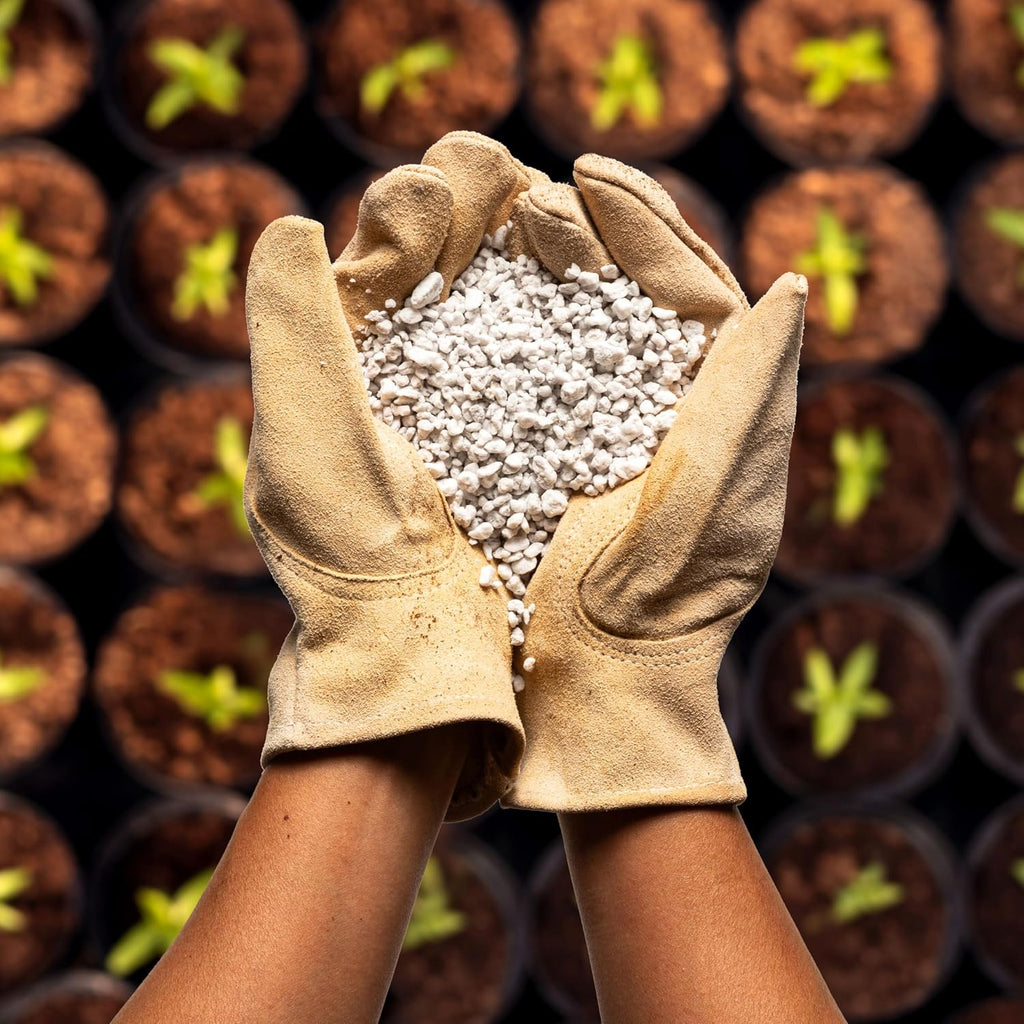 Perlite Bliss (24 Qts) - Organic Perlite for Plants Indoor Soil Amendment - Bulk Perlite for Gardening & Seed