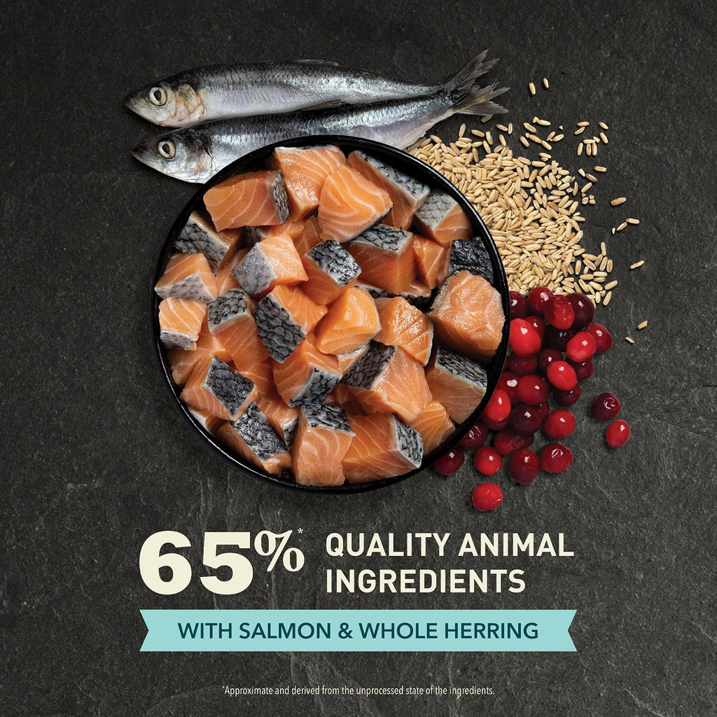 Dry Cat Food Bountiful Catch Salmon Catfish and Herring 4lb Bag