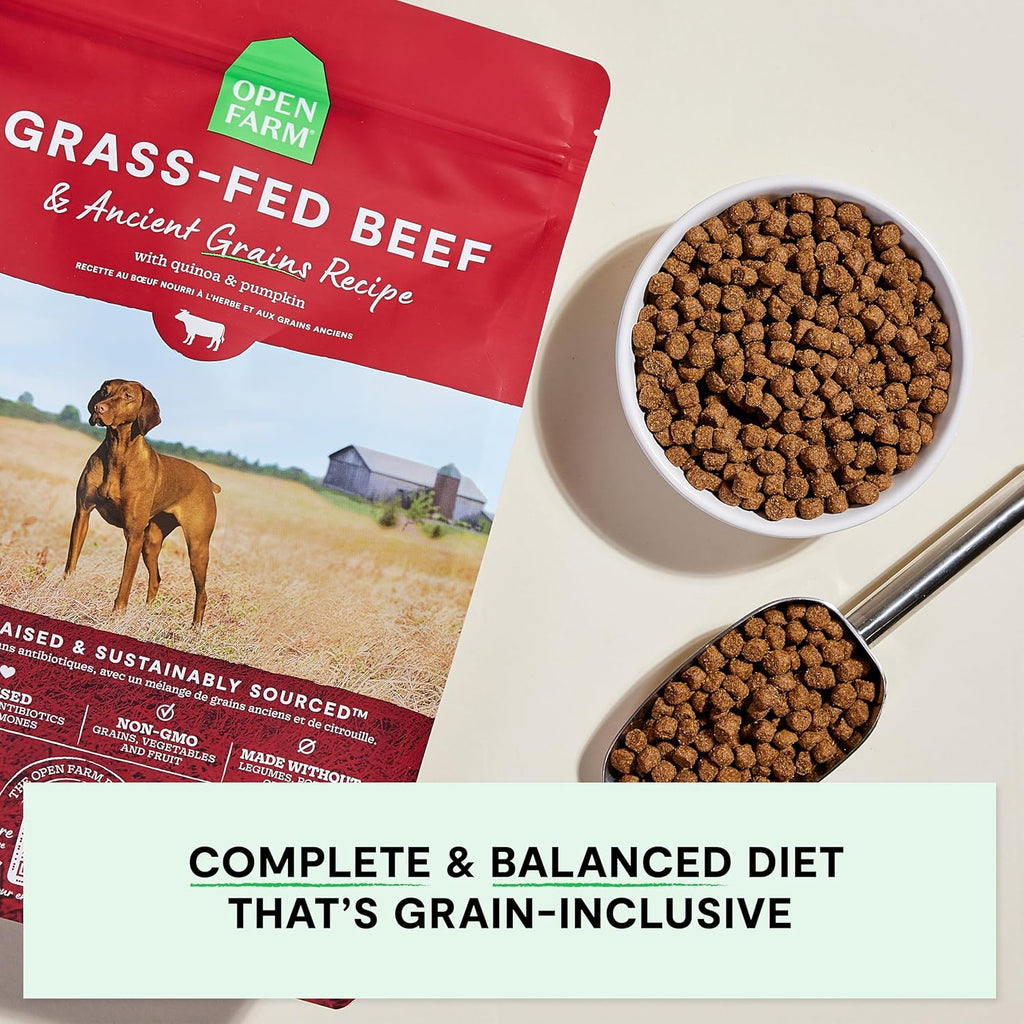 Ancient Grains Dry Dog Food, Grass-Fed Beef Kibble, 4lb Bag