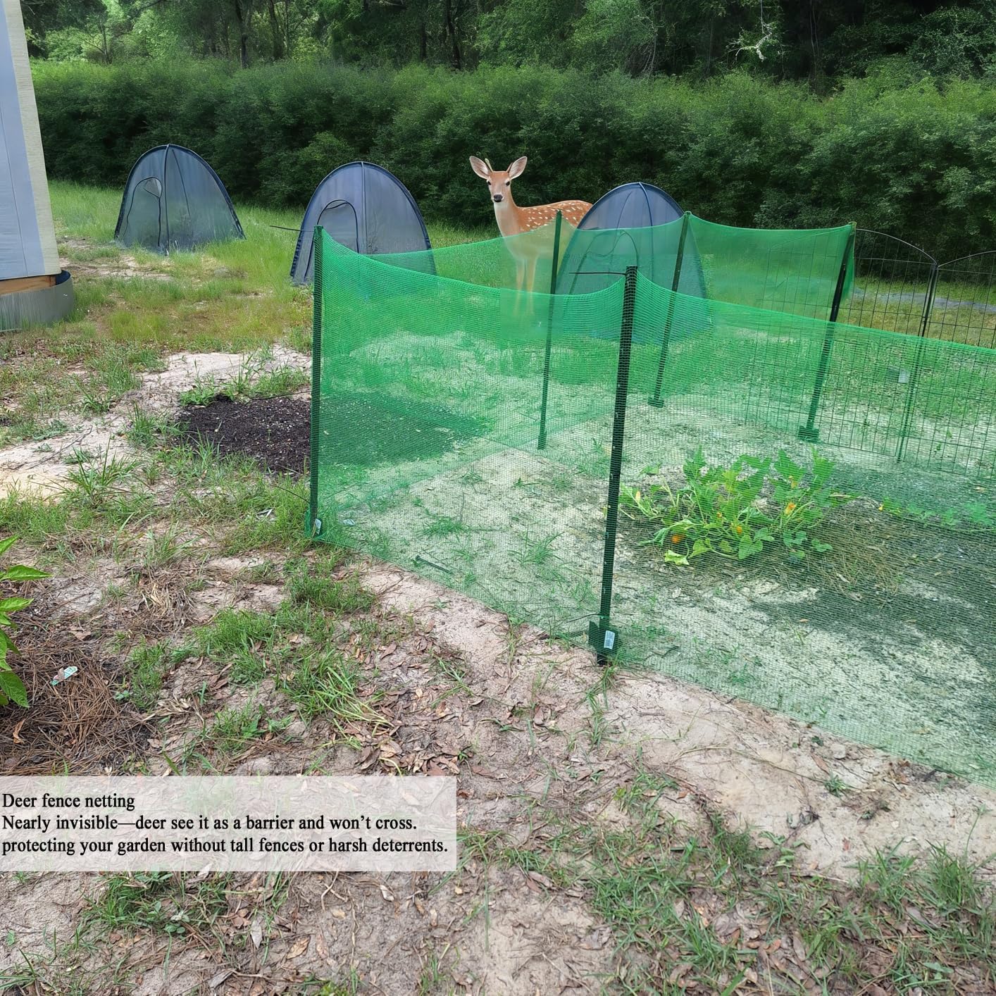 Deer Fence Netting 5x100 FT, Heavy Duty Plastic Mesh Fencing Roll