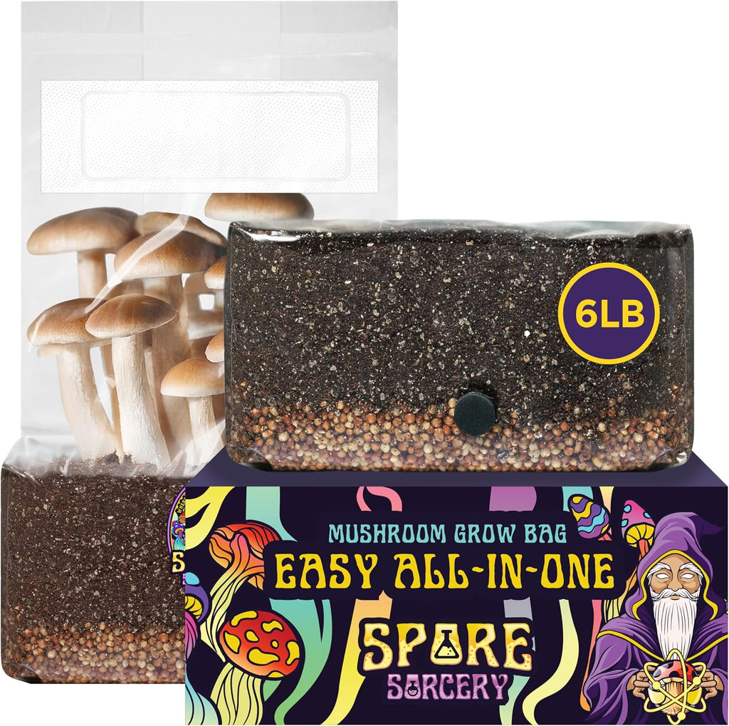 6 LB All-in-One Mushroom Grow Bag: Up to 48oz of Mushrooms! Nutrient-Enhanced, Injection Port, Just Add Your Own