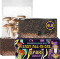 6 LB All-in-One Mushroom Grow Bag: Up to 48oz of Mushrooms! Nutrient-Enhanced, Injection Port, Just Add Your Own