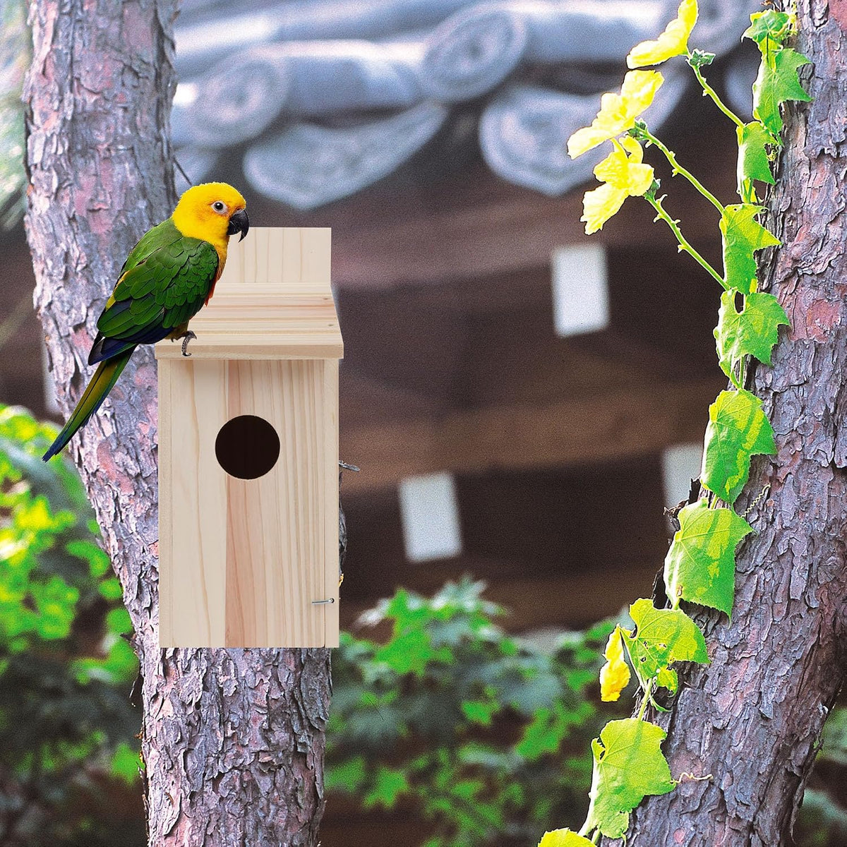 Wren Bird Houses for Outside,Cedar Swallow Wren Hummingbird Houses,DIY,1Pcs