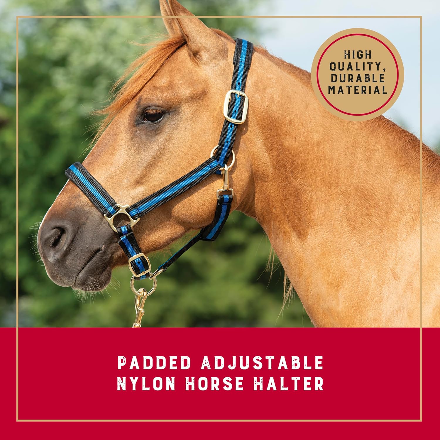 Nylon Horse Halter, Average Horse, Padded & Adjustable, 1 in