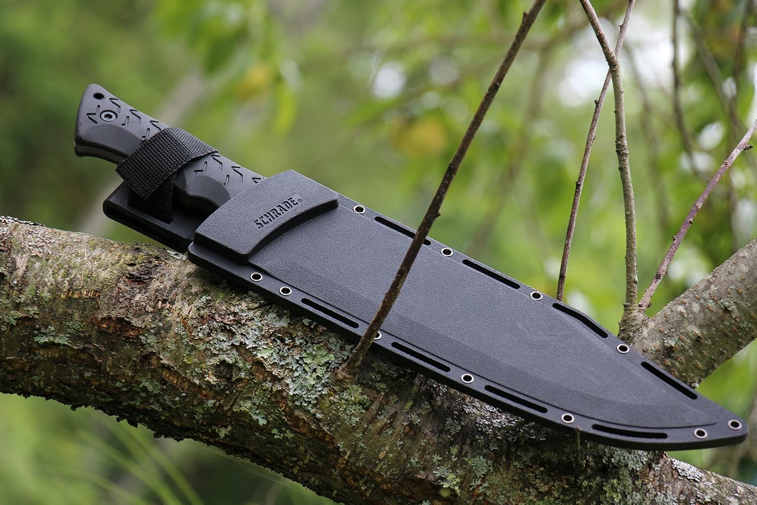 Delta Class Leroy Fixed Blade with High Carbon Stainless Steel Bowie Blade for Outdoor Activities