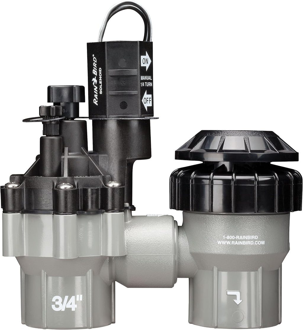 Rain Bird DASASVF075 Professional Anti-Siphon Valve, 3/4"